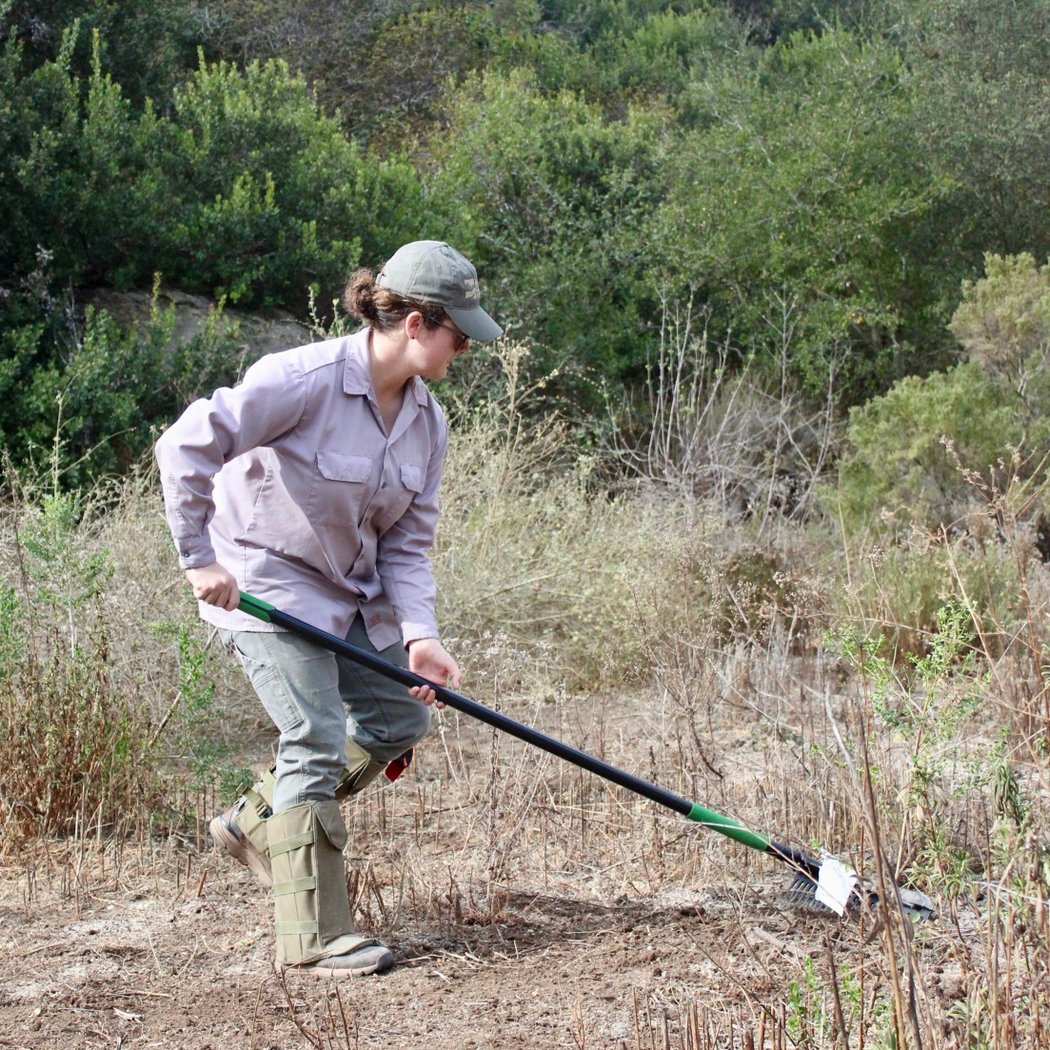 Explorers Hike: Laurel Canyon Loop 3